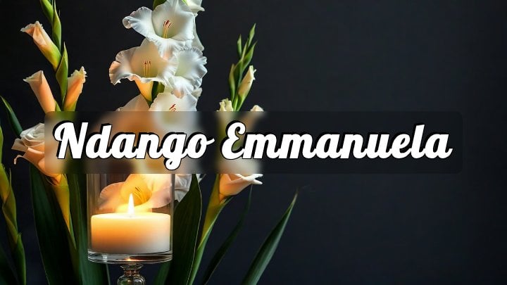 Ndango Emmanuela, Houston, Texas
